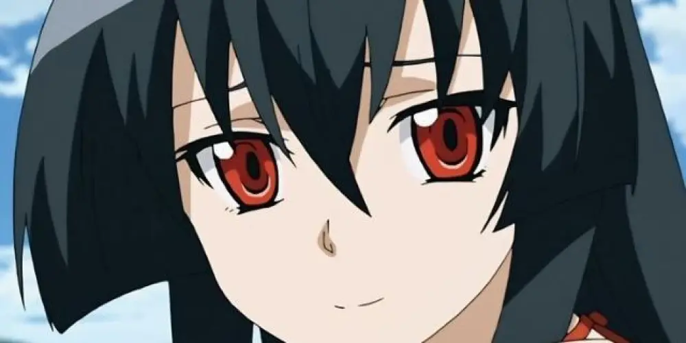 Imagem do grupo de WhatsApp Família akame ga kill