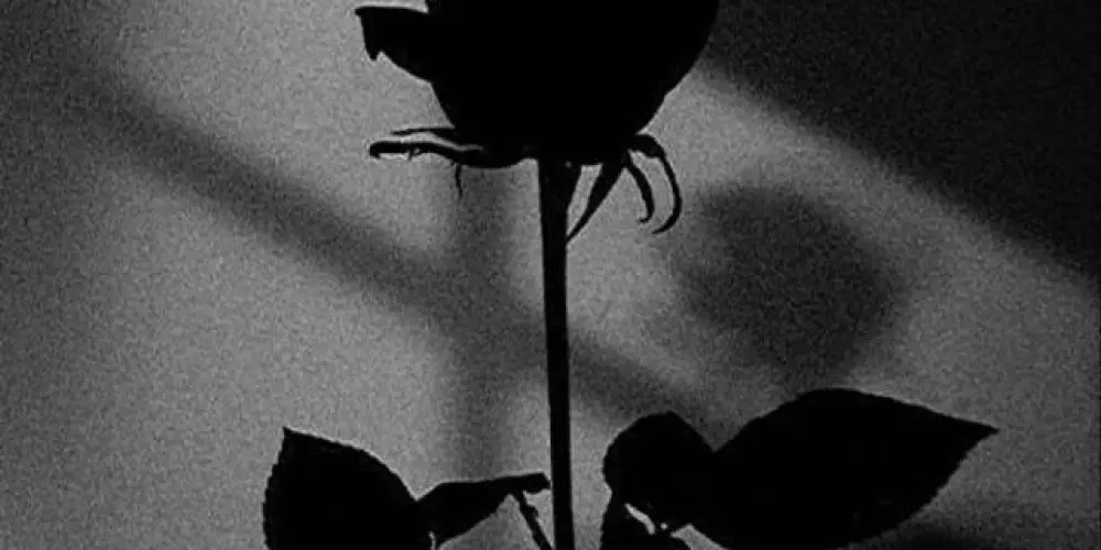 Imagem do grupo de WhatsApp Família busca pé ²