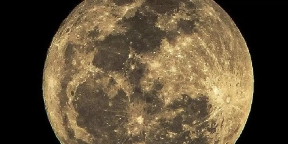 Imagem do grupo de WhatsApp Família da lua 🌙