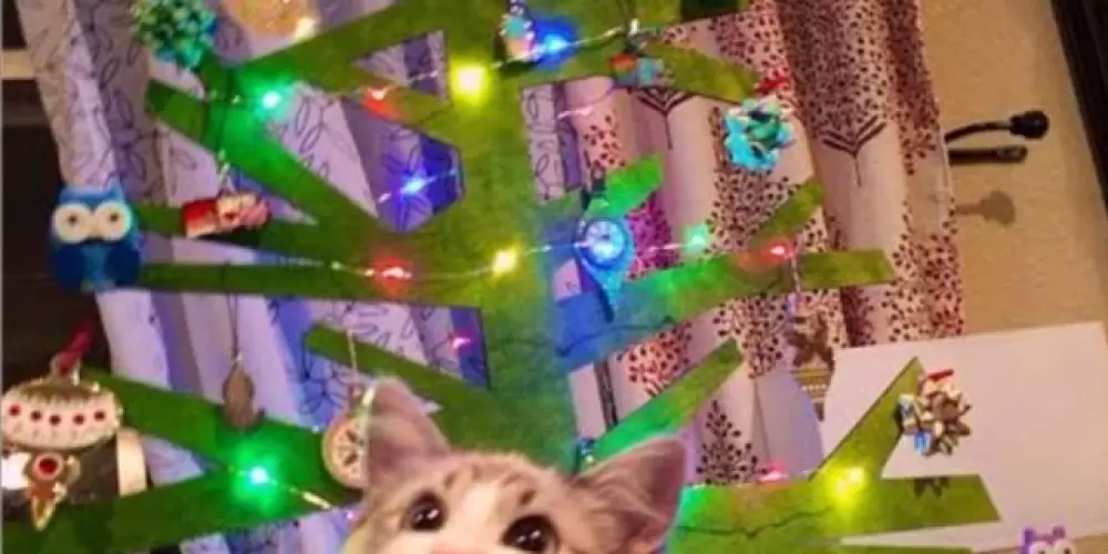 Imagem do grupo de WhatsApp 🔥FAMÍLIA DA ZUEIRA 🔥