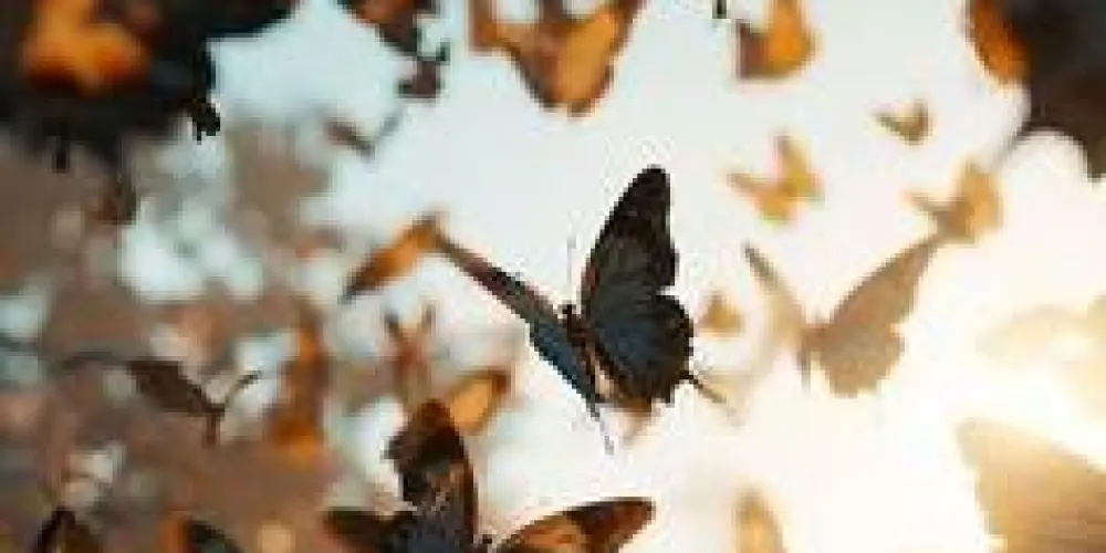 Imagem do grupo de WhatsApp Familia e amigos ✌️🥱