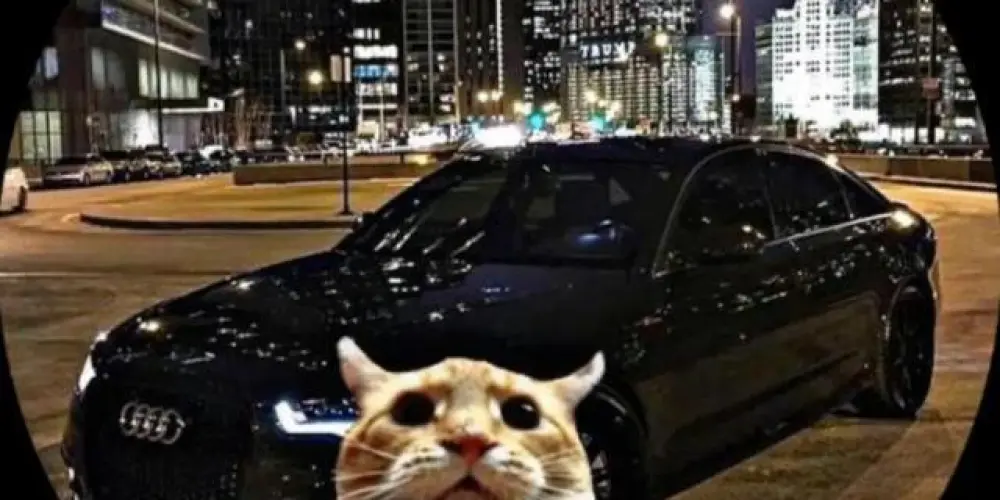 Imagem do grupo de WhatsApp 😜Família e amigos😜