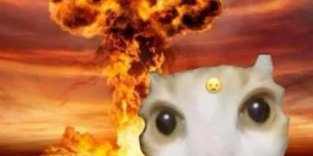 Imagem do grupo de WhatsApp ❤️✨Família Feliz✨❤️