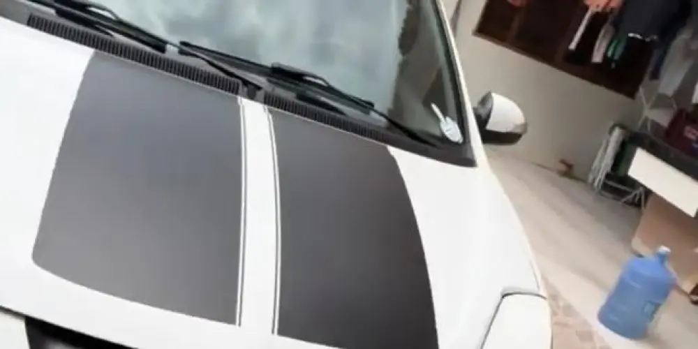 Imagem do grupo de WhatsApp Família  🚗Ford Ka 🇧🇷