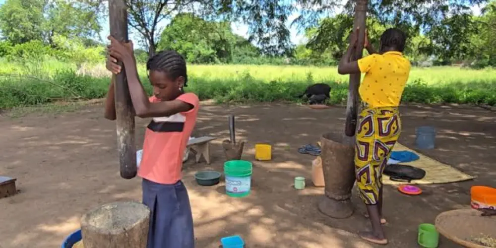 Imagem do grupo de WhatsApp FAMÍLIA NATIVO (BRASIL 🇧🇷 e MOÇAMBIQUE 🇲🇿)