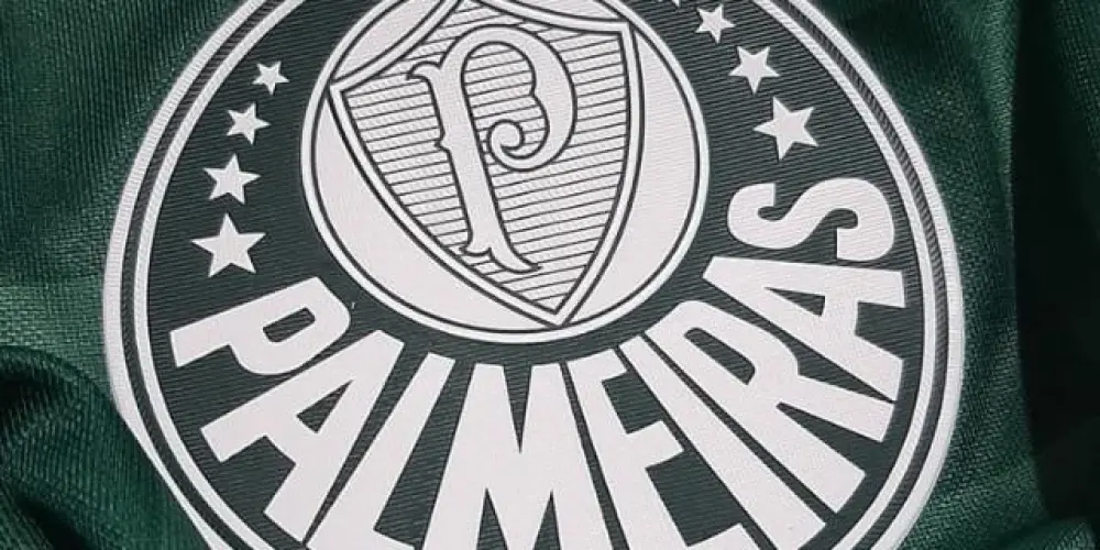 Imagem do grupo de WhatsApp Família Palestra 💚❤️🤍