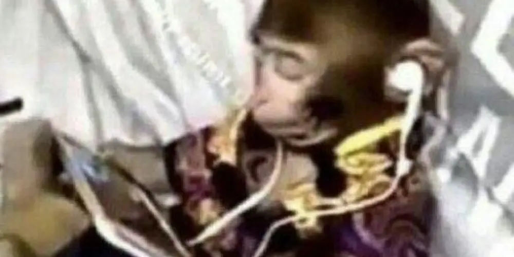 Imagem do grupo de WhatsApp Família peaga