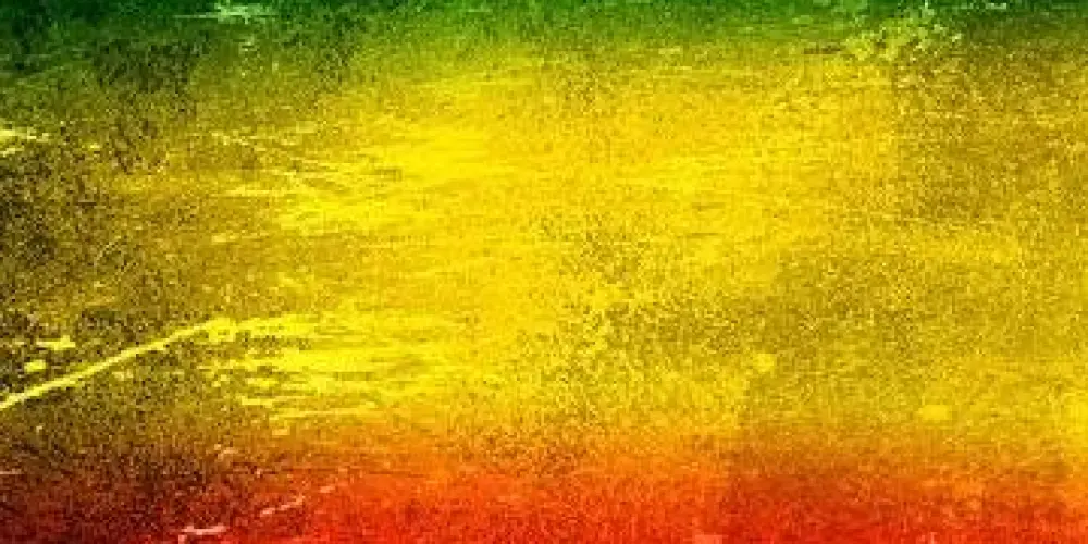 Imagem do grupo de WhatsApp Família Reggae