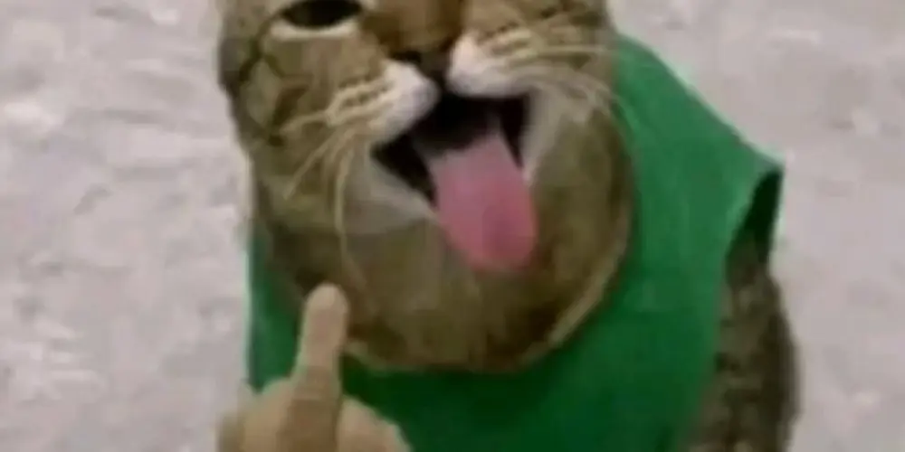 Imagem do grupo de WhatsApp F̶a̶m̶í̶l̶i̶a̶ ̶S̶e̶c̶r̶e̶t̶a̶