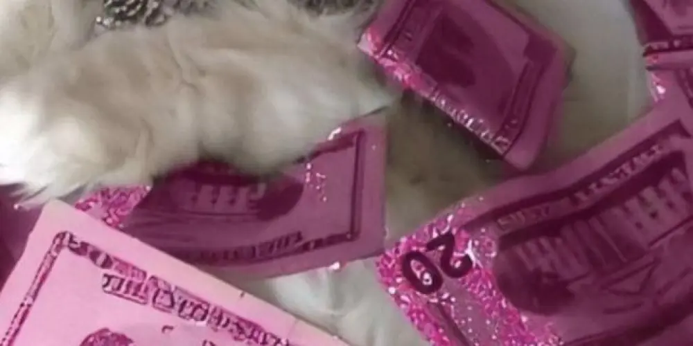 Imagem do grupo de WhatsApp 🔥~Família virtual~🔥