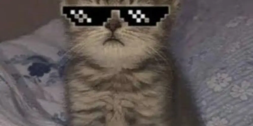 Imagem do grupo de WhatsApp FȺmíłɨȺ Wɨsɇɍ