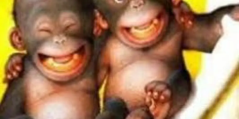 Imagem do grupo de WhatsApp Familly