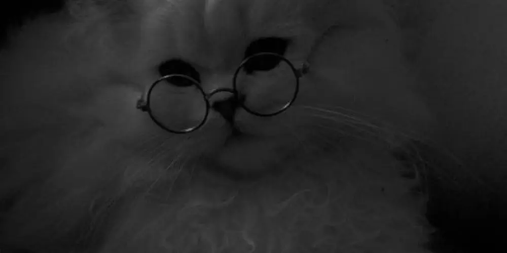 Imagem do grupo de WhatsApp Family club (😸🩷) Ƹ̵̡⁠Ӝ̵̨̄⁠Ʒ(⁠◕⁠ᴗ⁠◕⁠✿⁠)