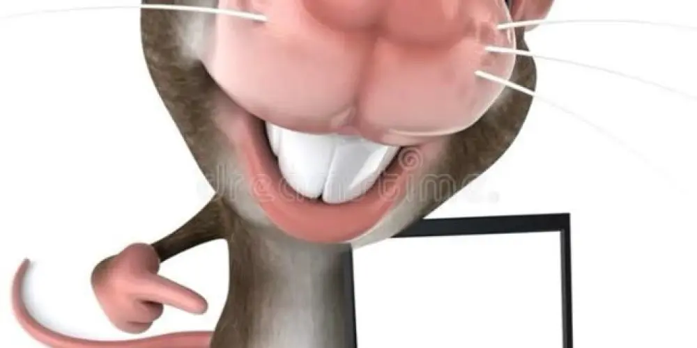 Imagem do grupo de WhatsApp ☠︎★ Family Souza★☠︎︎