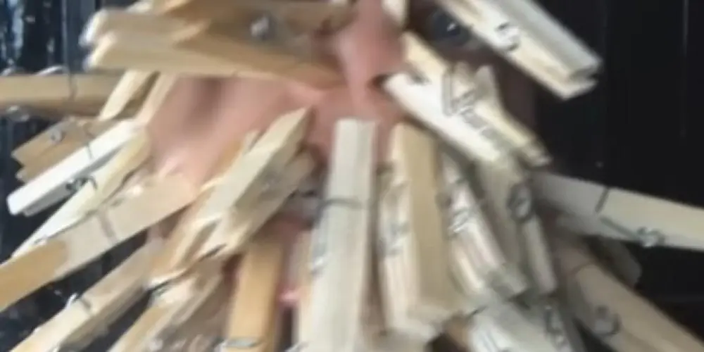 Imagem do grupo de WhatsApp Fan clube do Everson Zoio