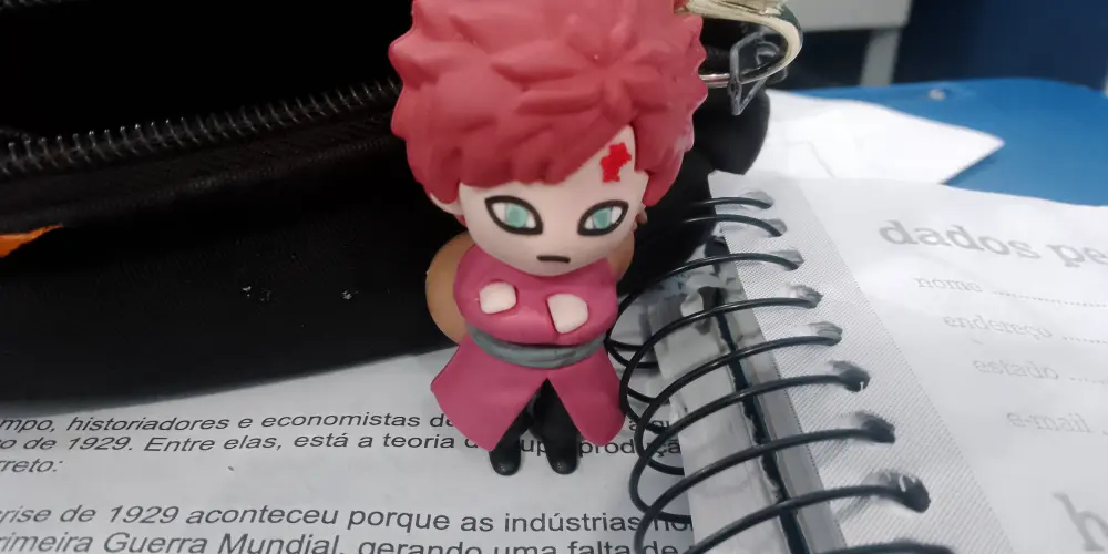 Imagem do grupo de WhatsApp FANÁTICOS