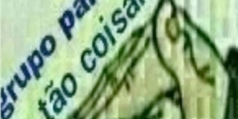 Imagem do grupo de WhatsApp Fandangos