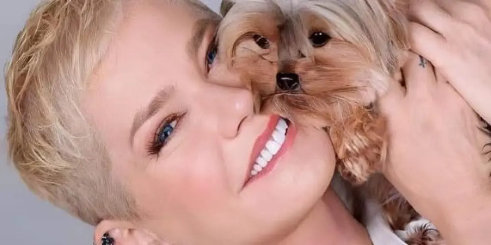 Imagem do grupo de WhatsApp Fãns da rainha xuxa 💋✖️🤟🏻😁🌈🌚