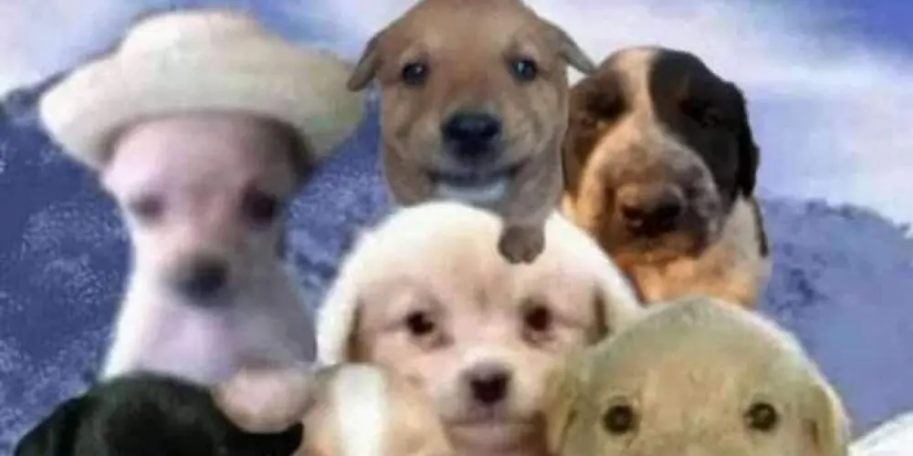 Imagem do grupo de WhatsApp Farmadores de aura rego