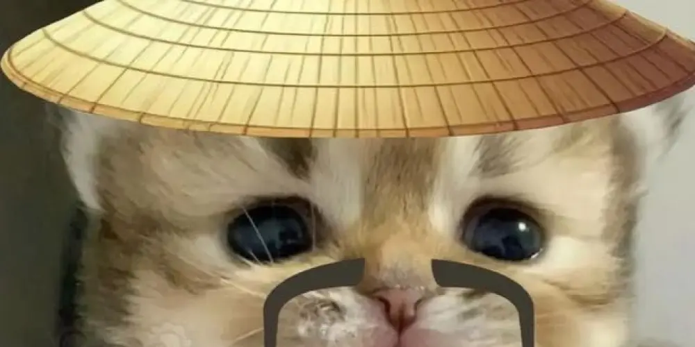 Imagem do grupo de WhatsApp Faro do faro não falha