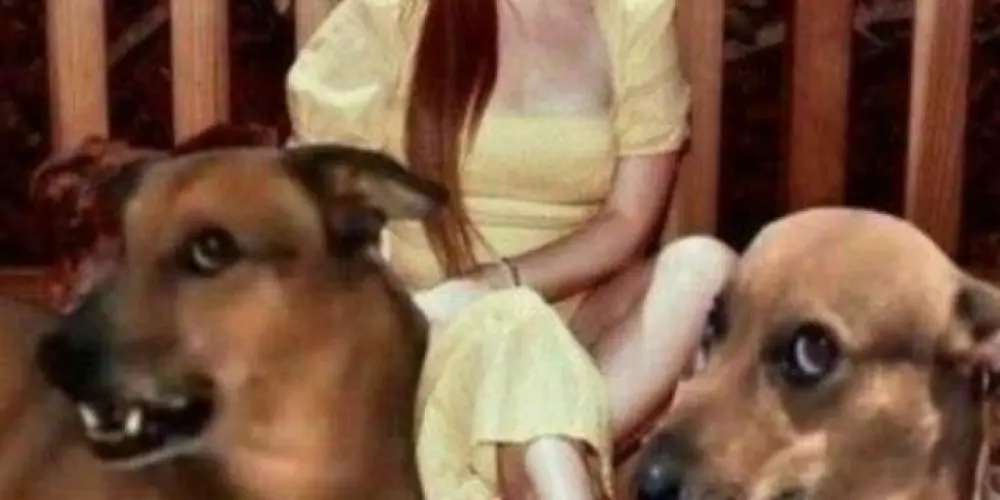 Imagem do grupo de WhatsApp fãs del lana🫦