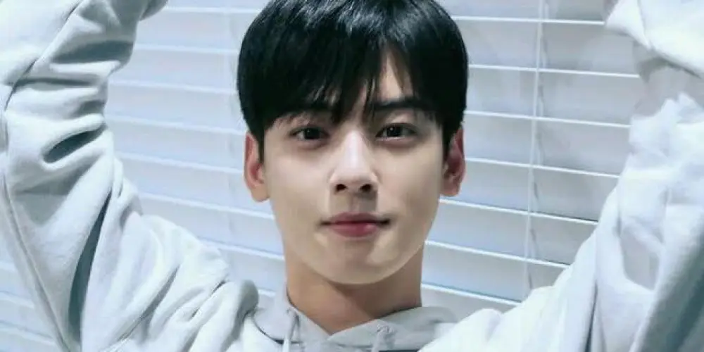 Imagem do grupo de WhatsApp Fãs do Cha Eunwoo