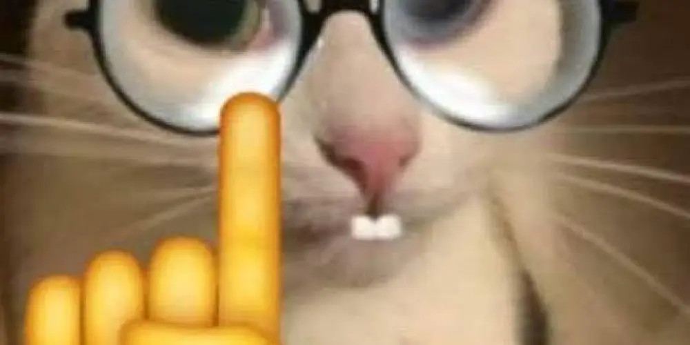 Imagem do grupo de WhatsApp Faz o L agora🫦🧑‍🦽