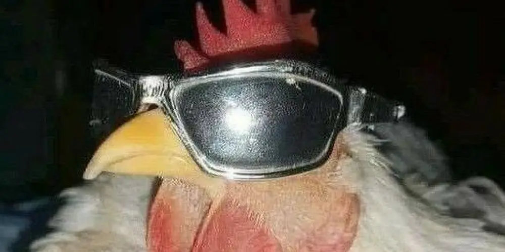 Imagem do grupo de WhatsApp FBI- ninguém pode saber do grupo-🇧🇷