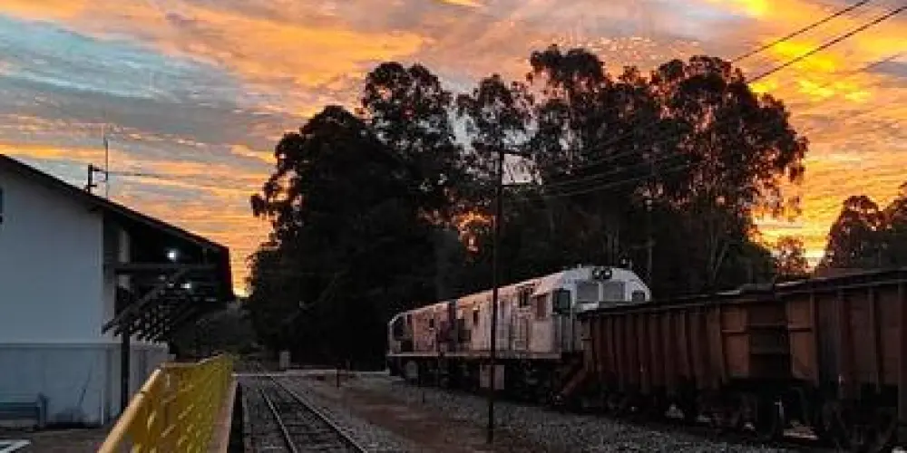 Imagem do grupo de WhatsApp FECHA NEGÓCIO LÍCINIO DE ALMEIDA