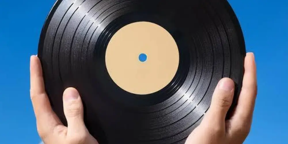 Imagem do grupo de WhatsApp Feira do Disco 💿💽