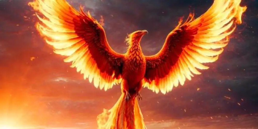 Imagem do grupo de WhatsApp Fênix 🐦‍🔥