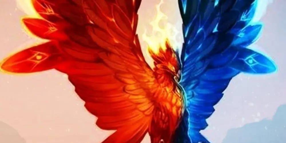 Imagem do grupo de WhatsApp Fênix renascer do amor e da amizade