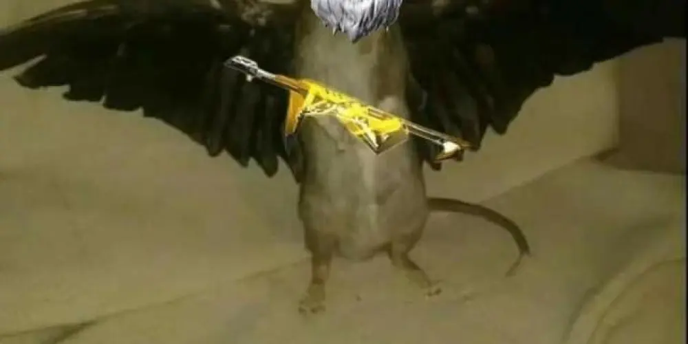 Imagem do grupo de WhatsApp ff e resenha 👺