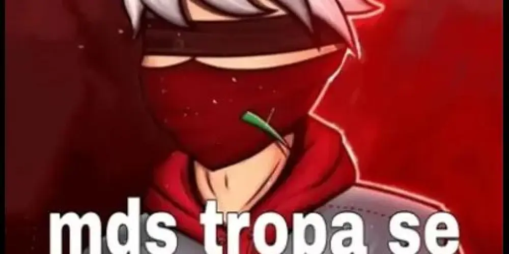 Imagem do grupo de WhatsApp FF resenhas