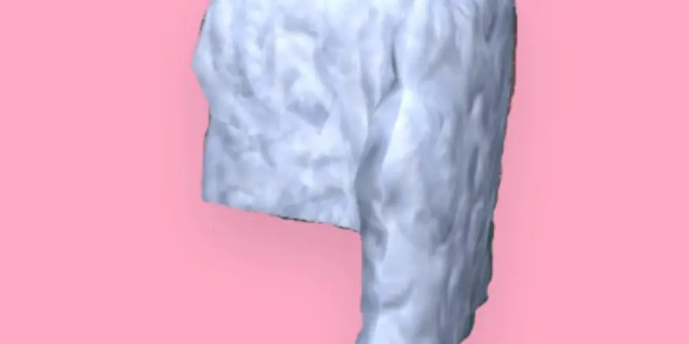 Imagem do grupo de WhatsApp FF silva