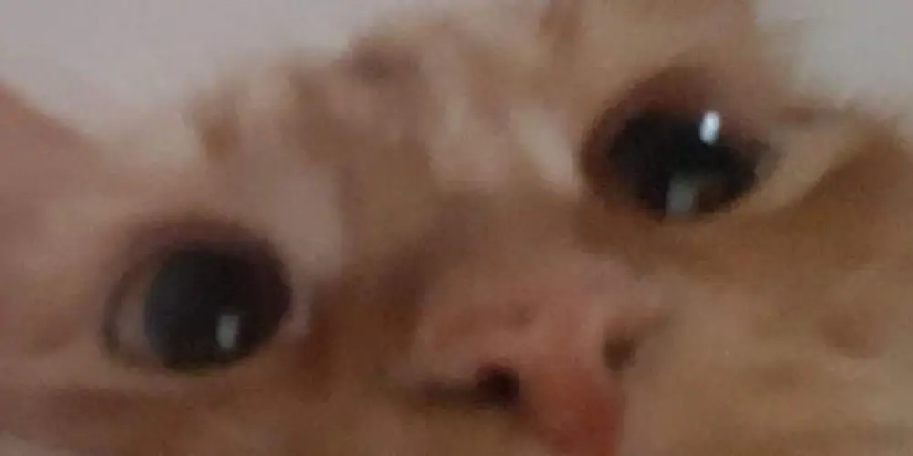 Imagem do grupo de WhatsApp fₐₘíₗᵢₐ wᵢₛₑᵣ