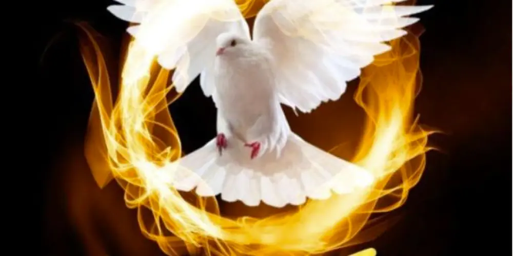 Imagem do grupo de WhatsApp Fiel e verdadeiro Espiríto Santo