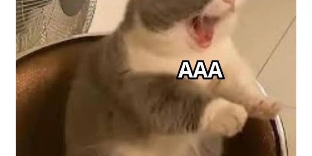 Imagem do grupo de WhatsApp fιgυяιинαѕ мємєѕ є αмιzα∂єѕ