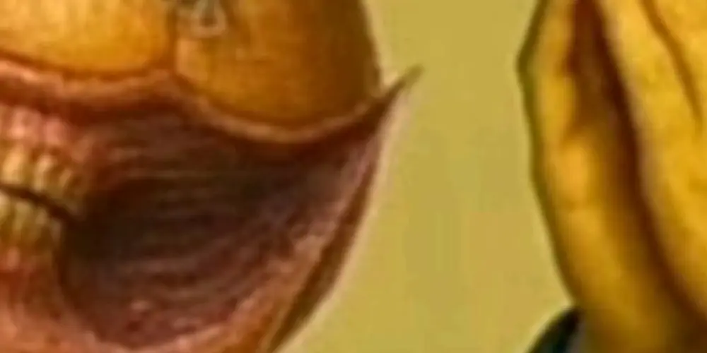 Imagem do grupo de WhatsApp Figu 24hrs 🔥🔥⏱️