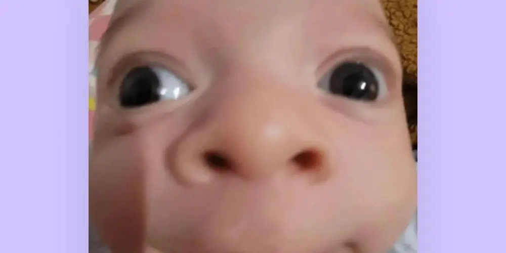 Imagem do grupo de WhatsApp 🇧🇷🔥𝑮𝒓𝒖𝒑𝒐 𝒅𝒆 𝑪𝒓𝒊𝒂𝒓 Figurinhas🔥🇧🇷