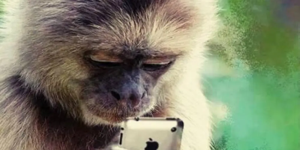 Imagem do grupo de WhatsApp Figurinhas