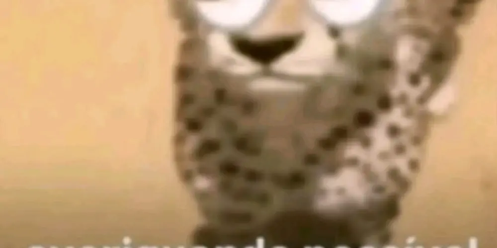 Imagem do grupo de WhatsApp Figurinhas