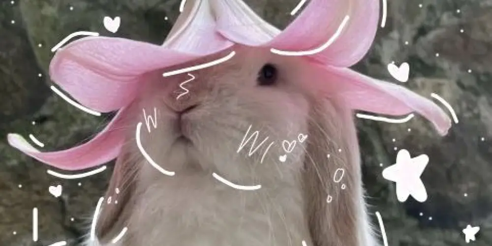 Imagem do grupo de WhatsApp Figurinhas 🌹