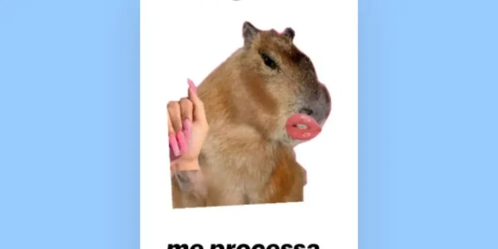 Imagem do grupo de WhatsApp 🌄💕Figurinhas💕🌄