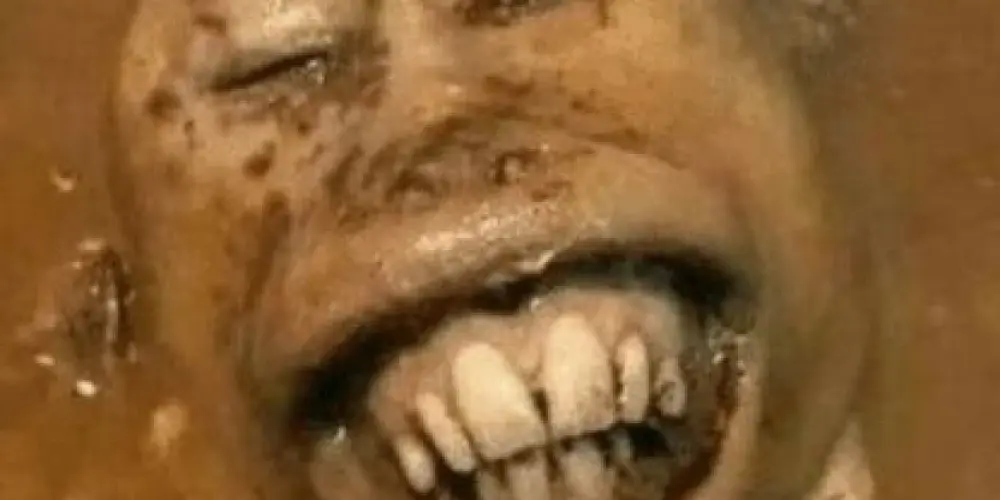 Imagem do grupo de WhatsApp Figurinhas 💯❎