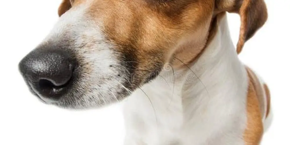 Imagem do grupo de WhatsApp figurinhas🤣🤣