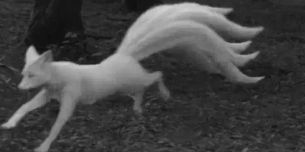 Imagem do grupo de WhatsApp Figurinhas Aleatórias