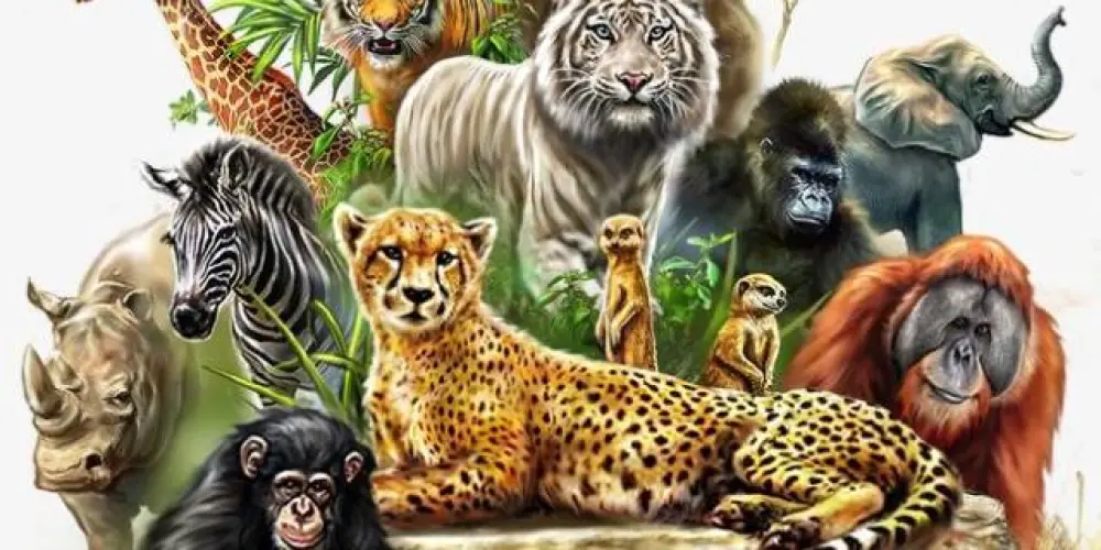 Imagem do grupo de WhatsApp 🦜🦧 Figurinhas Animais 🦧🦜