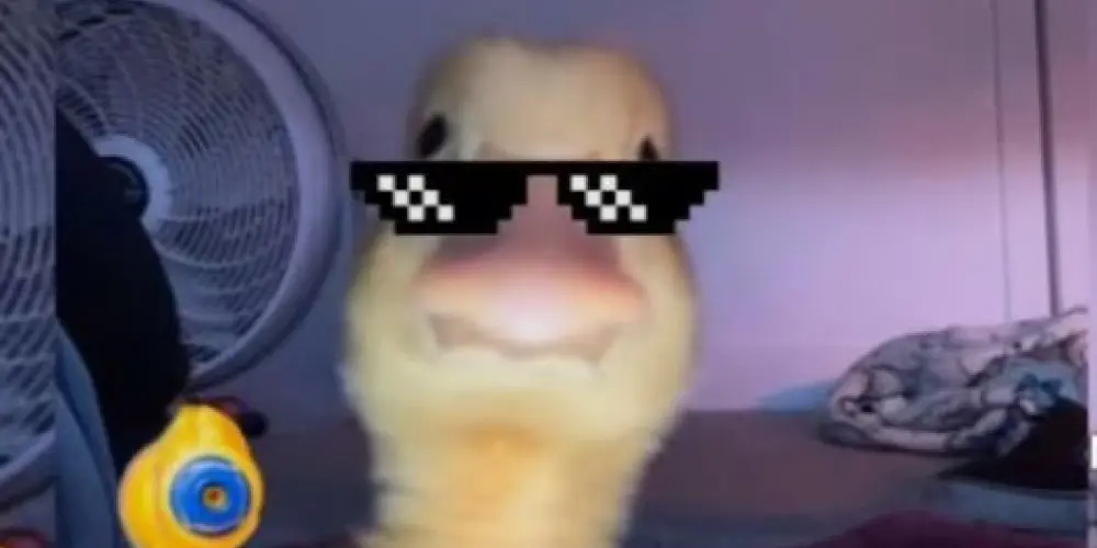 Imagem do grupo de WhatsApp Figurinhas de todos os tipos