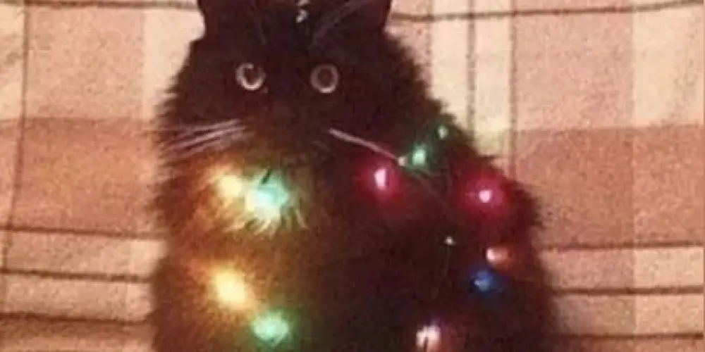 Imagem do grupo de WhatsApp Figurinhas de WhatsApp